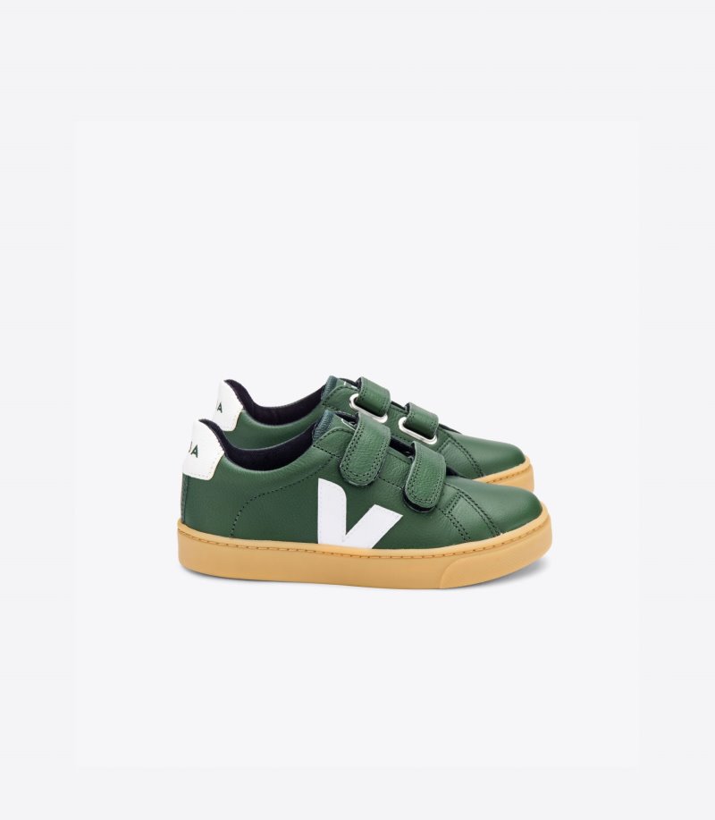 Green / White Veja Esplar Leather Kids\' Sneakers | IE-629027