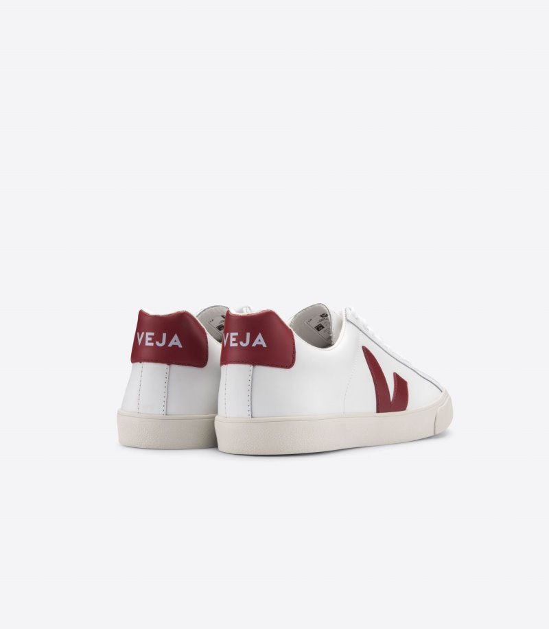 White / Burgundy Veja Esplar Leather Men's Sneakers | IE-430776