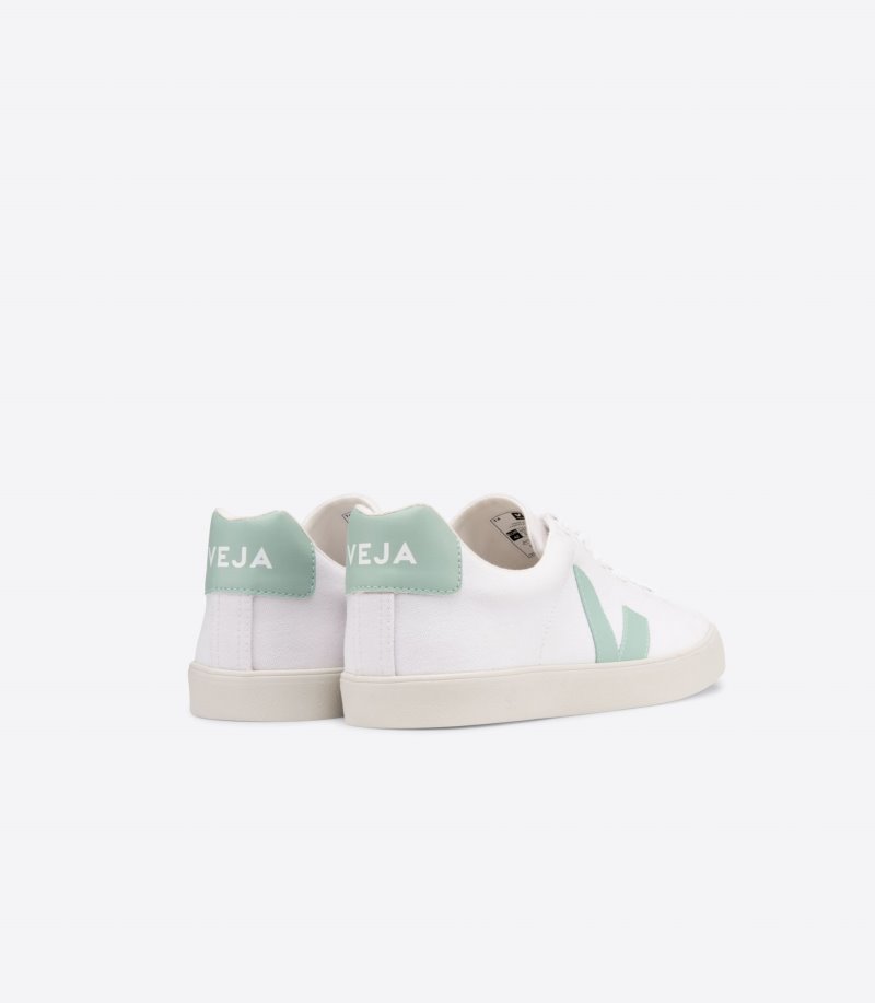 White / Light Green Veja Esplar Se Canvas Women's Sneakers | IE-475879